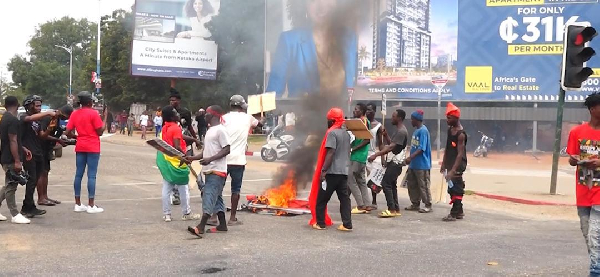 The protestors burning party flags and banners