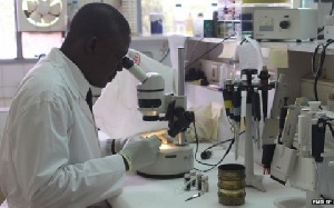 A lab scientist at work (File photo)