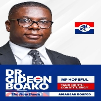 Spokesperson to the Vice President, Dr. Gideon Boako