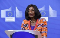 Former Health Minister,  Sherry Ayitey