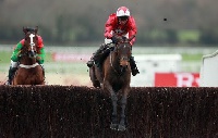 Two race horses involved in a steeplechase