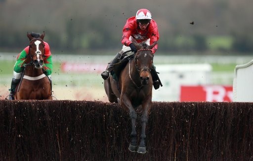 Two race horses involved in a steeplechase