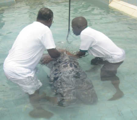 File photo: The writer says children should not be subjected to horrific abuses in the name of faith