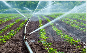 Ashanti MOFA prioritises irrigation to boost agricultural production