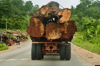 A ban on timber export will ensure job security for those in the timber business sector.