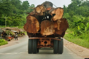 A ban on timber export will ensure job security for those in the timber business sector.