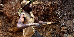 DRC: Copper price rises 0.51% on international markets
