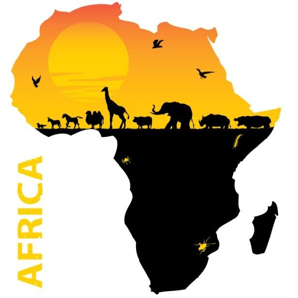 Africa map (file photo)