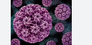 Image of cancer virus