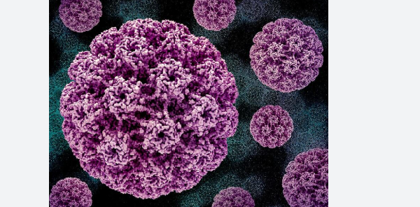 Image of cancer virus