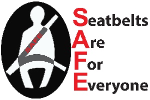 Seatbelt Logo