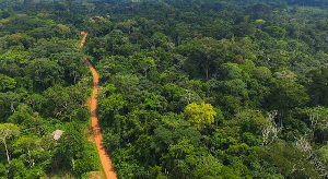 The decision forms part of government's broader efforts to strengthen environmental conservation The decision forms part of government's broader efforts to strengthen environmental conservation