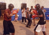 File photo - Boxers training