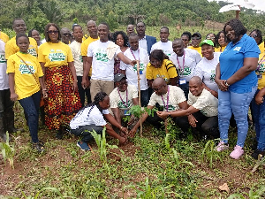 Staff of VRA planted trees during the Green Ghana Day