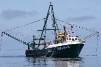 Fishing trawlers have been engaging in a lot of illegality on the seas (File Photo)