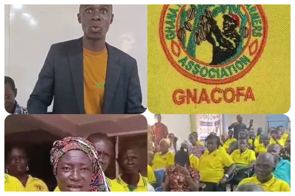 Cocoa farmers threaten nationwide demo over pension, healthcare demands