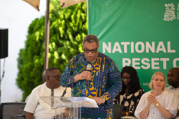 Goosie Tanoh is the Presidential Advisor on the 24-Hour Economy