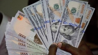 Dollar and Naira notes