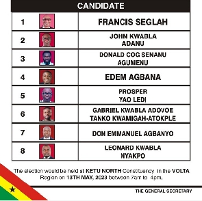 The eight persons contesting for the Ketu North Constituency seat