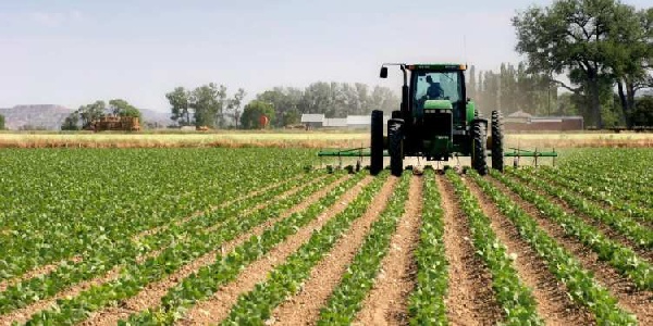 Youth urged to take farming as a career