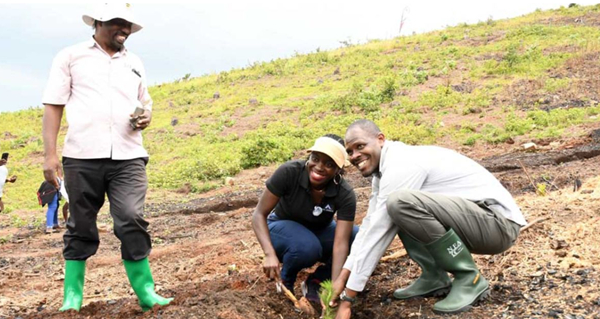 Some Ugandans planting a tree in the Oruha forest reserve in Kyenjojo district