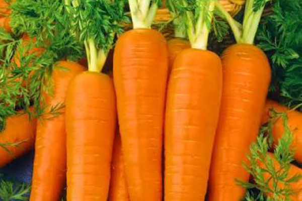 Carrots fuels the body with vitamins, fiber and antioxidants for total wellness