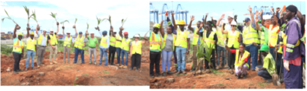 Staff of MPS captured during tree planting exercise