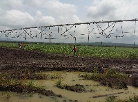 A centre pivot irrigation system at VegPro Ghana Ltd in the Tongu District of the Volta Region.