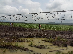 A centre pivot irrigation system at VegPro Ghana Ltd in the Tongu District of the Volta Region.