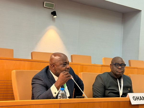 Michael Okyere Baafi (L) and Alexander Roosevelt Horttordze would represent Ghana on the committee