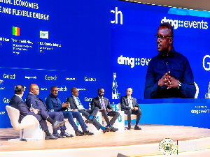 Energy minister (R) making a case for Africa