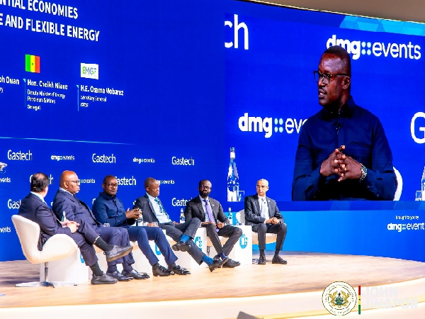 Energy minister calls for stronger collaboration and investment in Africa’s energy sector