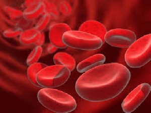 Red Blood Cells3