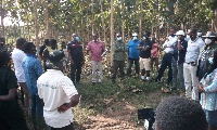 Forestry Commission officials and the Board Members inspecting the plantation sites
