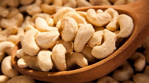 The factory will  help to add value to raw cashew for export