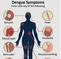 Symptoms of Dengue Fever