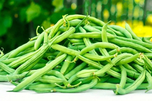 Phaesolus Vulgaris Green Beans