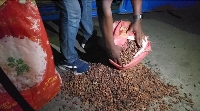Smuggled cocoa beans