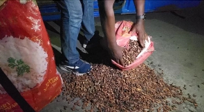 Smuggled cocoa beans