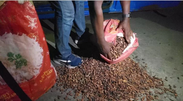 Smuggled cocoa beans