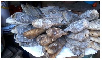 Salted Tilapia, popularly known as 'koobi' (File photo)
