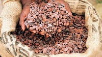 The suspect allegedly stole 45 kilograms of dried cocoa beans valued at GHC9,842.00