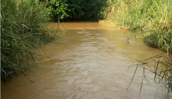 Photo of the flooded river