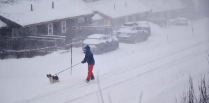 The Swedish Meteorological and Hydrological Institute issued alerts for strong winds