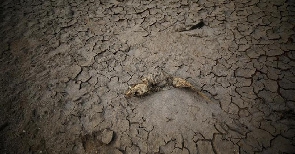 Namibia Drought