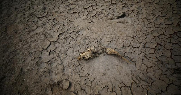 The dry bed of a river, once a vital water source of water