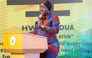 Elizabeth Ofosu-Adjare is the Minister of Trade, Agribusiness and Industry
