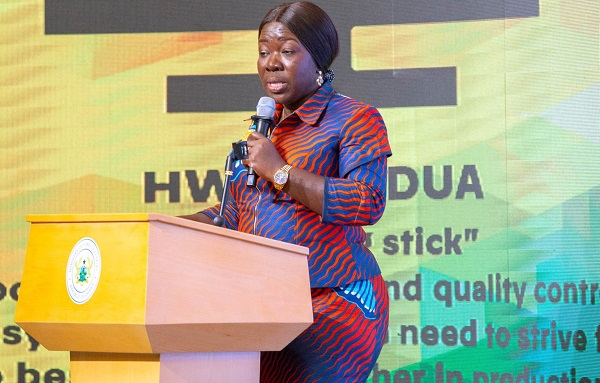 Elizabeth Ofosu-Adjare is the Minister of Trade, Agribusiness and Industry