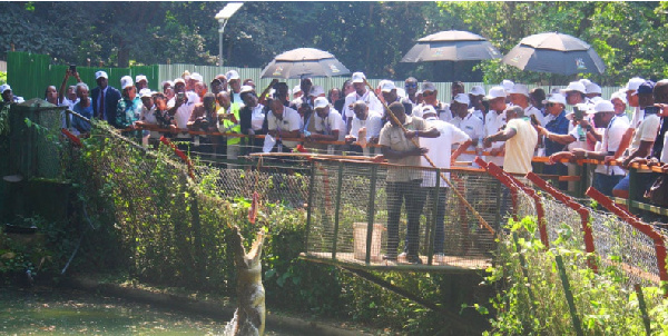 CSPOC delegates are seen observing as a worker feeds a crocodile during a tour