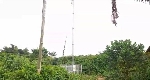 An abandoned telecommunication mast